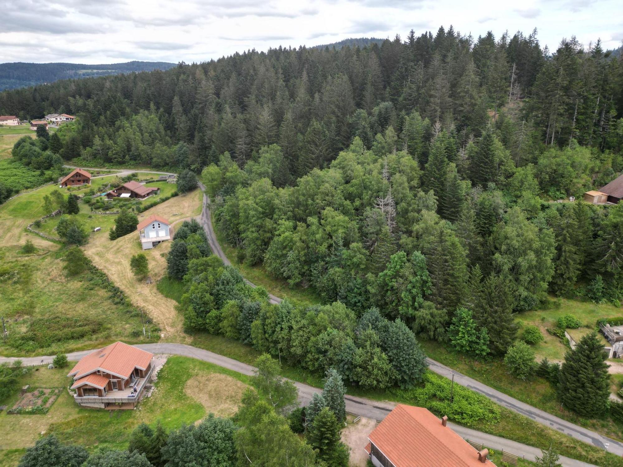 Chalet L'Appel De La Foret جوراردُميه المظهر الخارجي الصورة