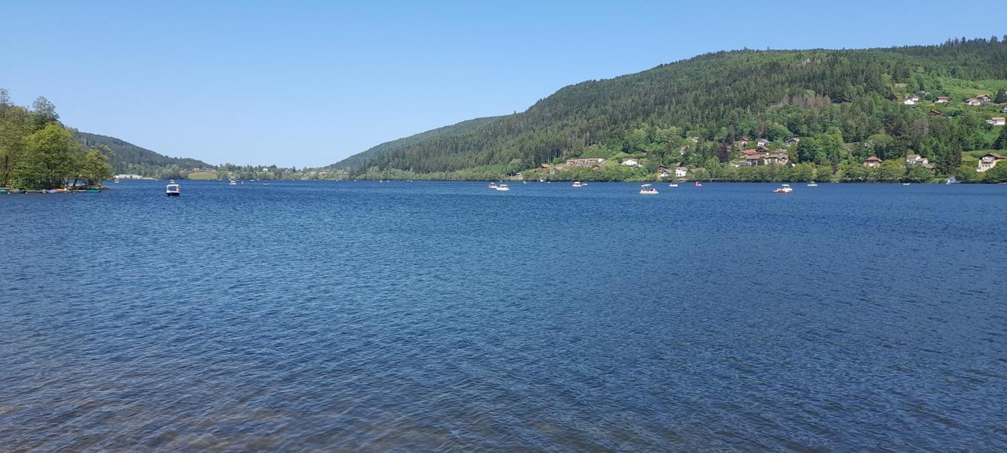 Chalet L'Appel De La Foret جوراردُميه المظهر الخارجي الصورة