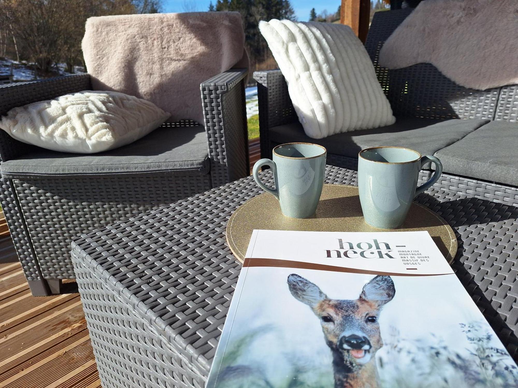 Chalet L'Appel De La Foret جوراردُميه المظهر الخارجي الصورة
